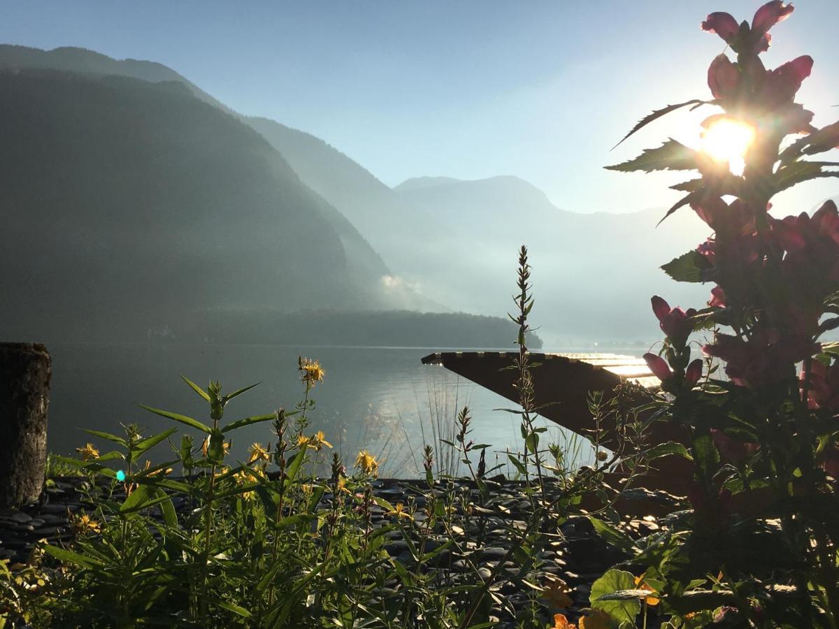 Glueck Am See - Apartment Mit Seezugang Hallstatt Exteriör bild